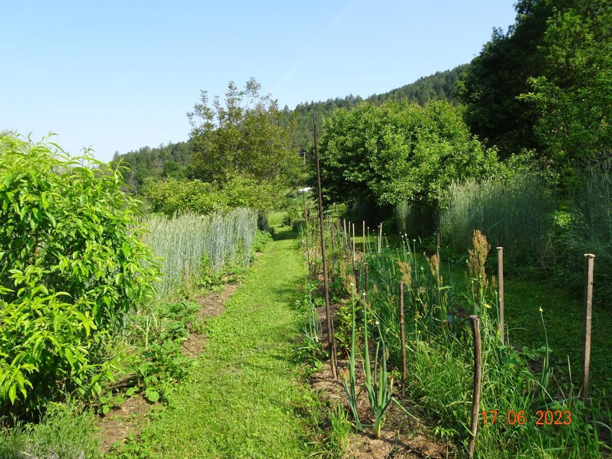 La Pardigone Castellane